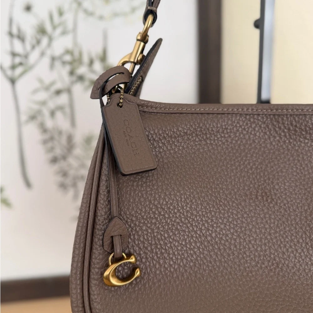 Coach Carry Shoulder Bag in Dark Stone - Picture 3 of 6